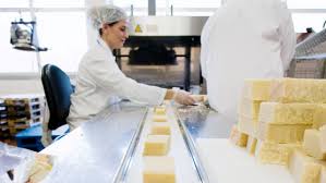 DAIRY INDUSTRY